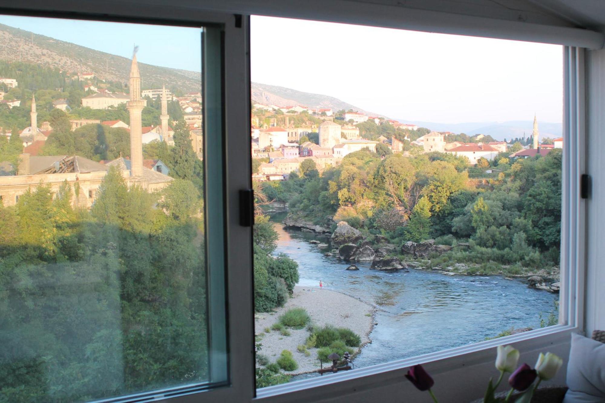 Dream View
