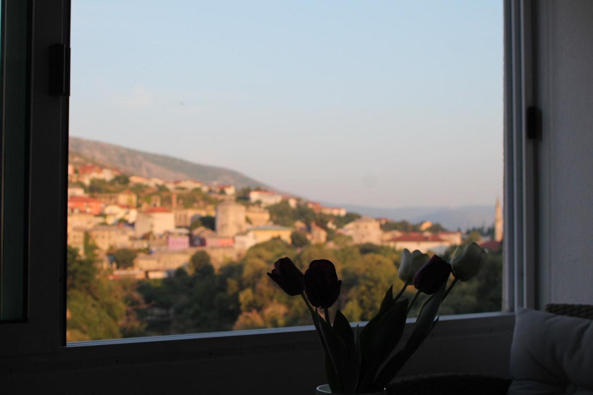 Apartment Dream View *