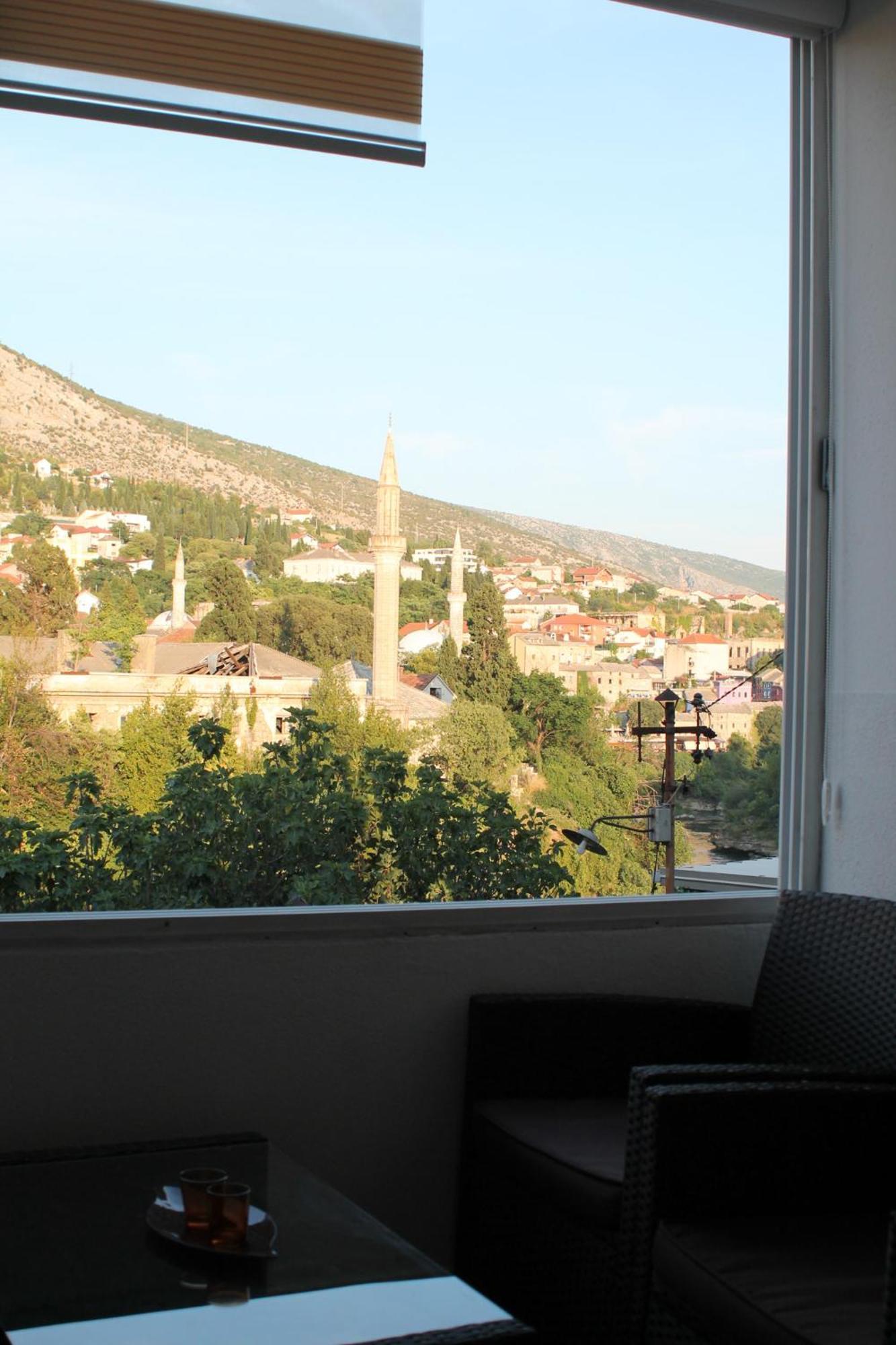Dream View