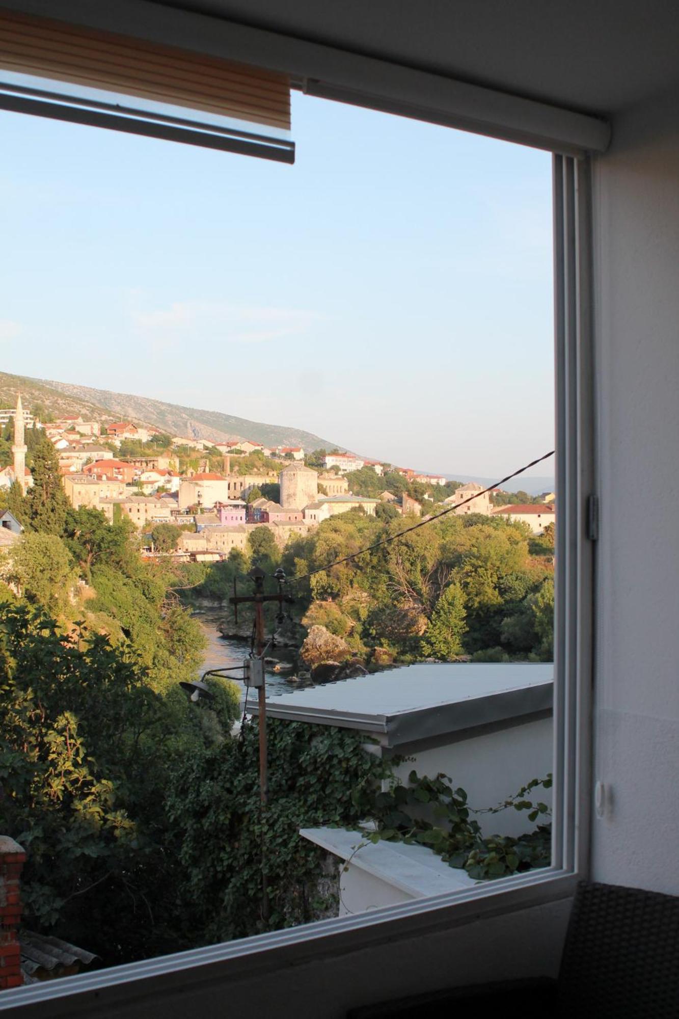 Dream View *
